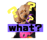 864612183