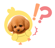 864613242