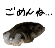 864615611