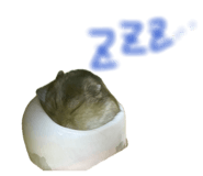 864615614