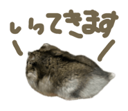 864615625