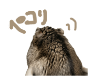 864615627