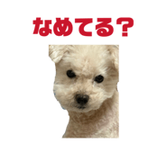 864635531