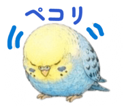 864636905