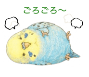 864636912