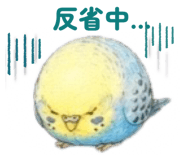 864636936