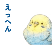 864636937