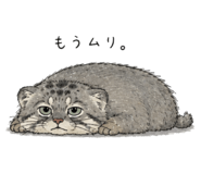 864637154