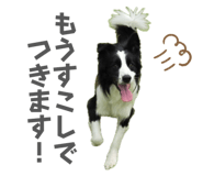 864637265