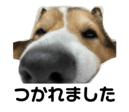864637856