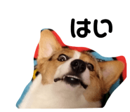 864637864