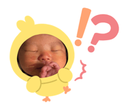 864642593