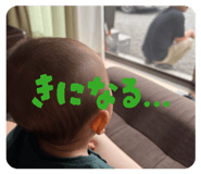 864642627
