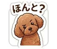 864642659