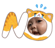 864642732