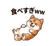 864642935