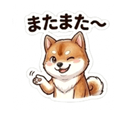 864642937