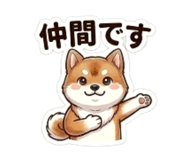 864642949