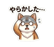 864642954