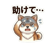 864642962