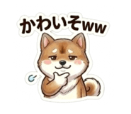 864642968
