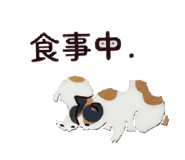 864643154