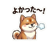 864643337