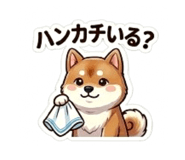 864643339