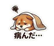 864643342