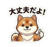 864643347
