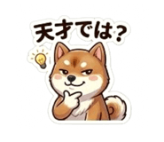 864643348