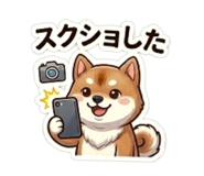 864643352