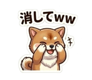 864643353