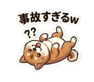 864643355