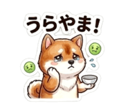 864643451