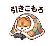 864643464