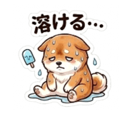 864643466