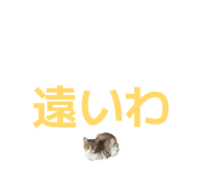 864643484