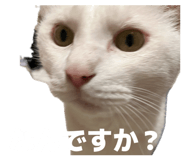 864643498