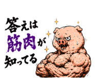 864643554