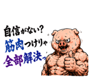 864643558