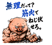 864643566