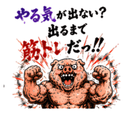 864643568