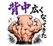 864643620