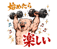 864643648