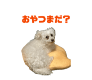 864644341