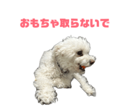 864644342