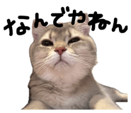 864644359
