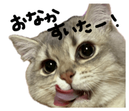 864644365