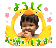 864644427